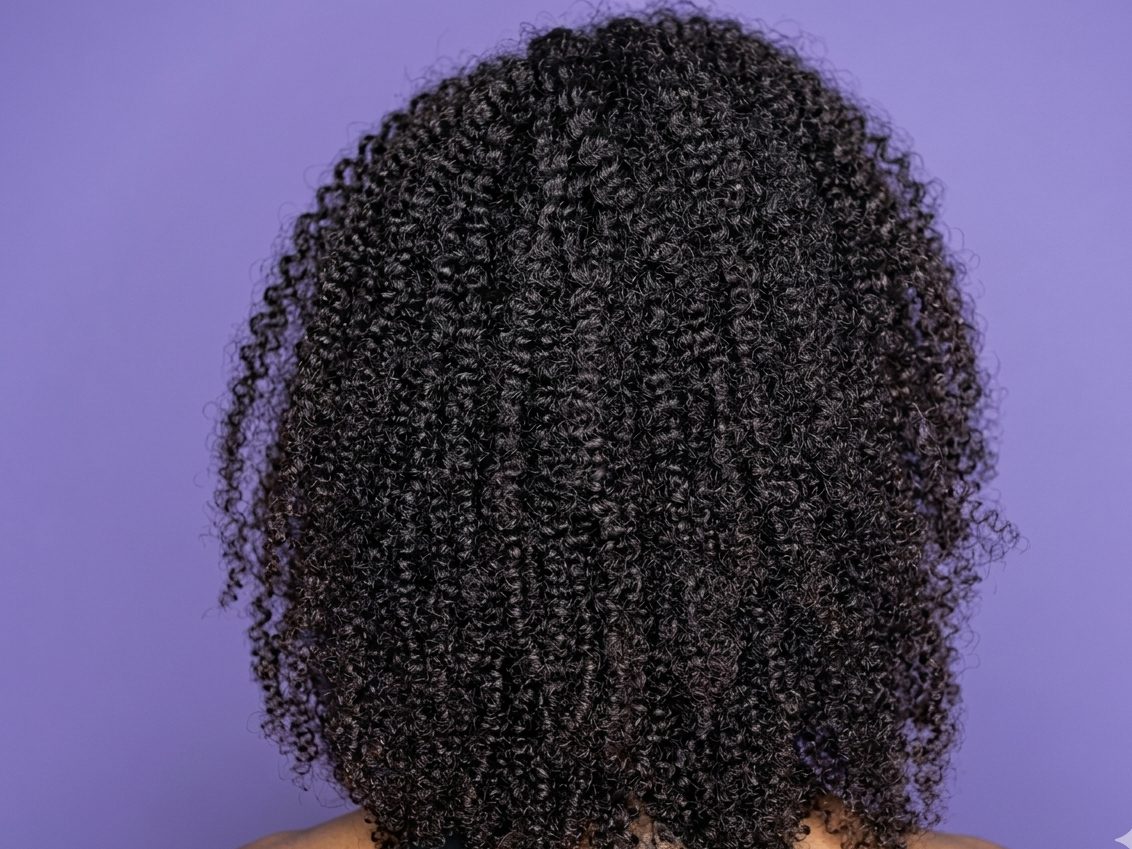 Kinky Curly Drawstring Ponytail